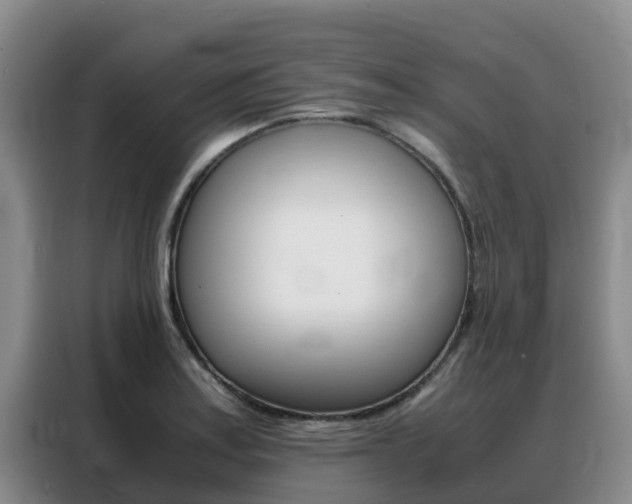 X0000088361179200705220727