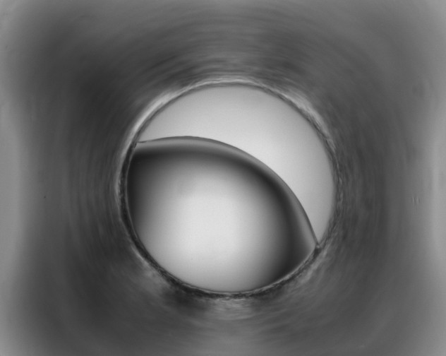 X0000088361181200705220727