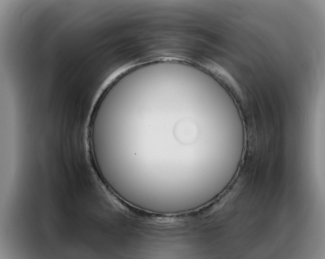 X0000088361182200705220727