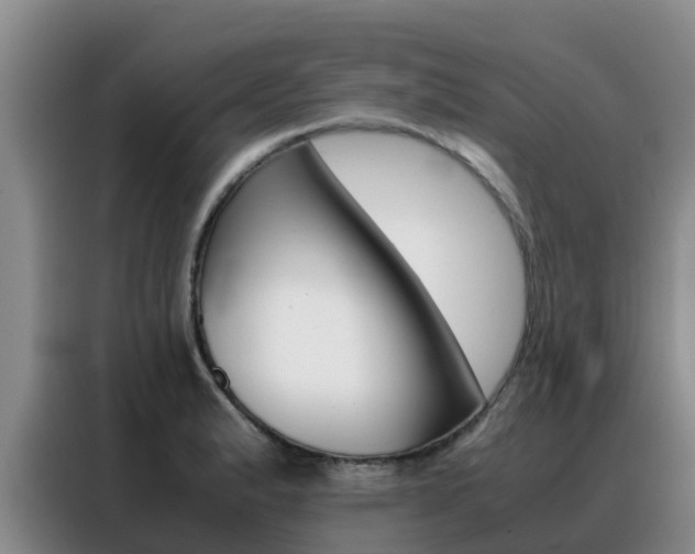 X0000088361183200705220727