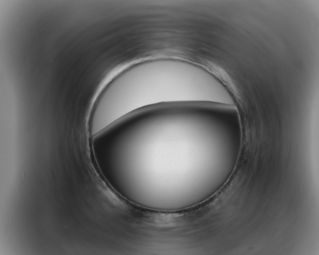 X0000088361184200705220727
