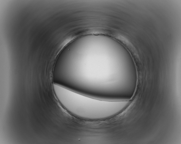X0000088361185200705220727