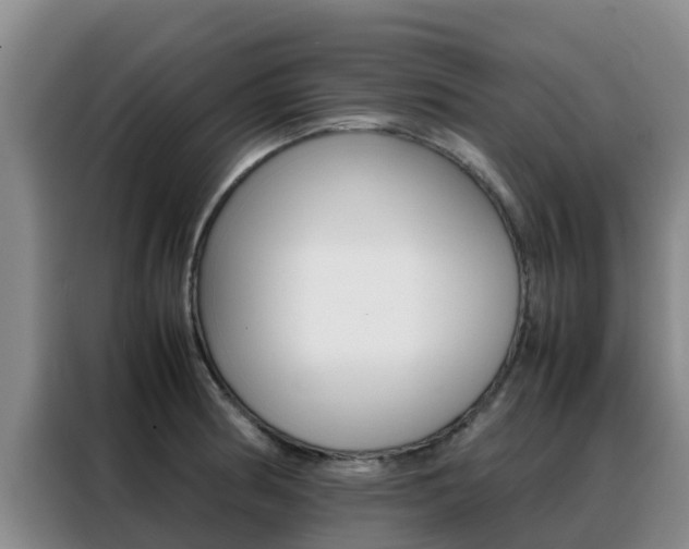 X0000088361186200705220727