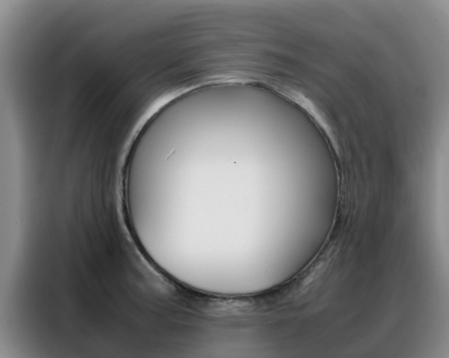 X0000088361187200705220727