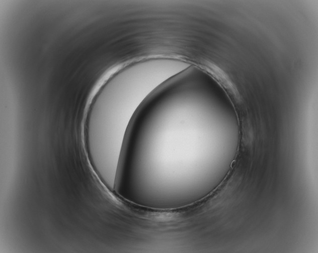 X0000088361188200705220727