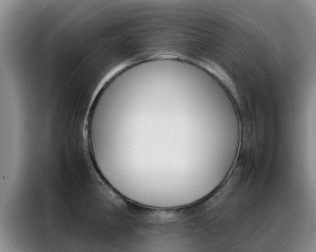 X0000088361190200705220727