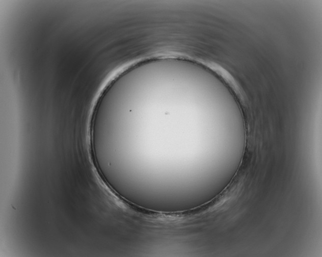 X0000088361191200705220727