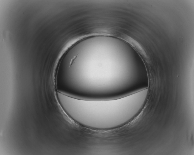 X0000088361192200705220727