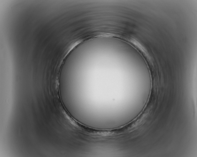 X0000088361193200705220727