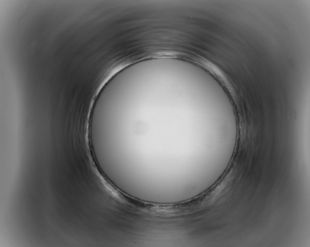 X0000088361194200705220727