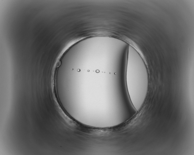 X0000088361195200705220727