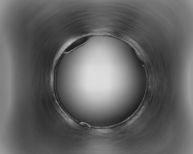X0000088361196200705220726
