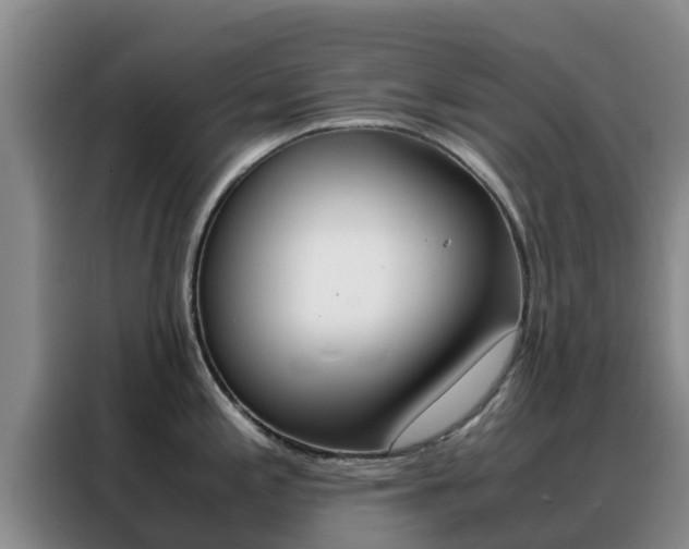 X0000088361197200705220726