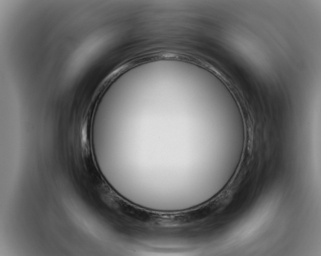 X0000088361198200705220726