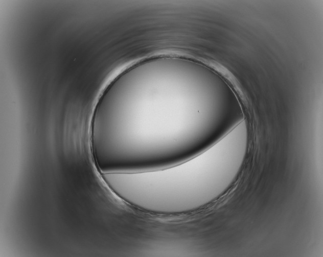 X0000088361199200705220726