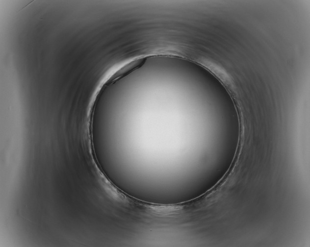 X0000088361200200705220726