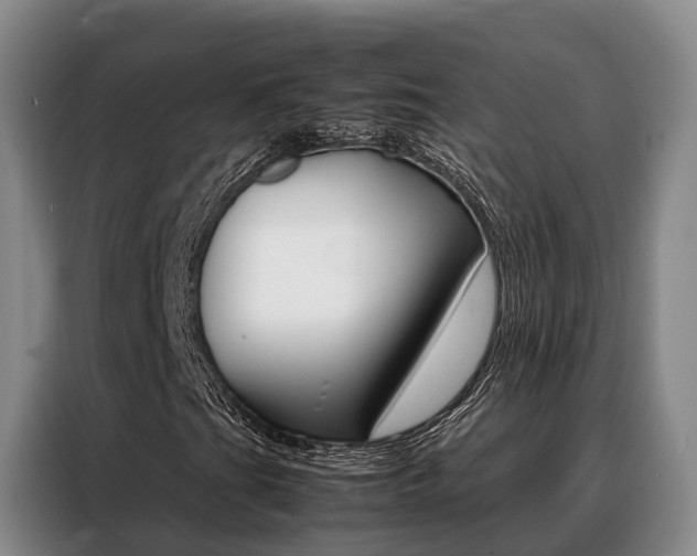 X0000088361201200705220726