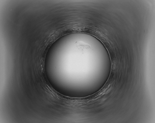 X0000088361202200705220726