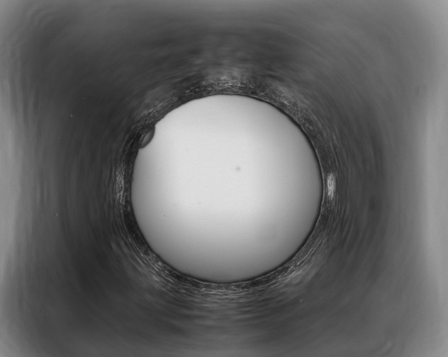 X0000088361203200705220726
