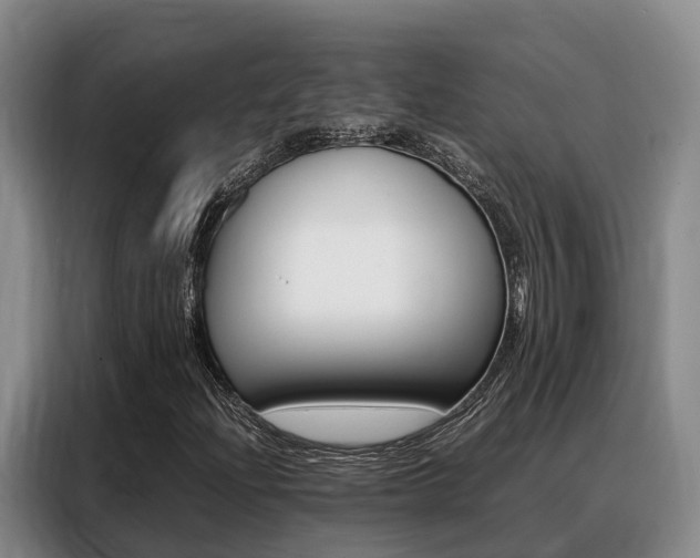 X0000088361204200705220726