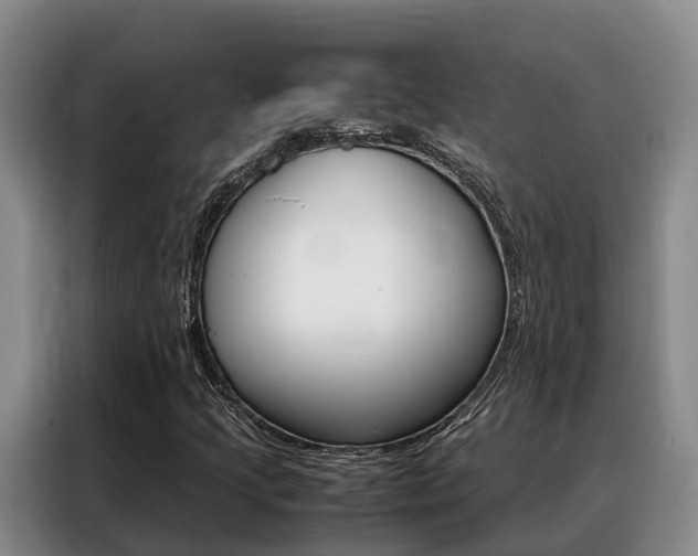 X0000088361205200705220726