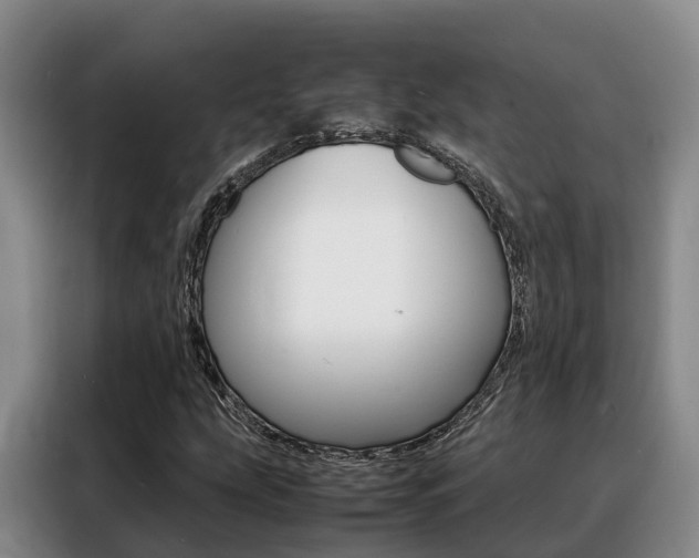 X0000088361207200705220726