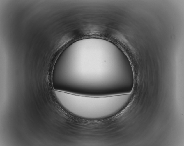 X0000088361209200705220726
