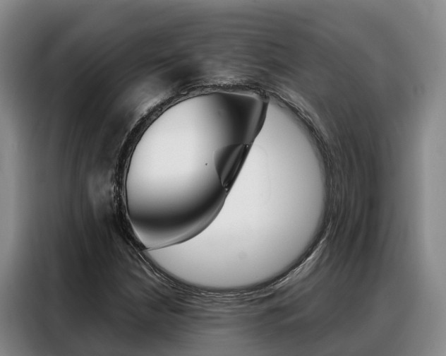 X0000088361210200705220726