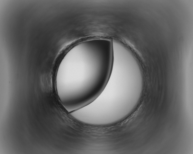 X0000088361214200705220726