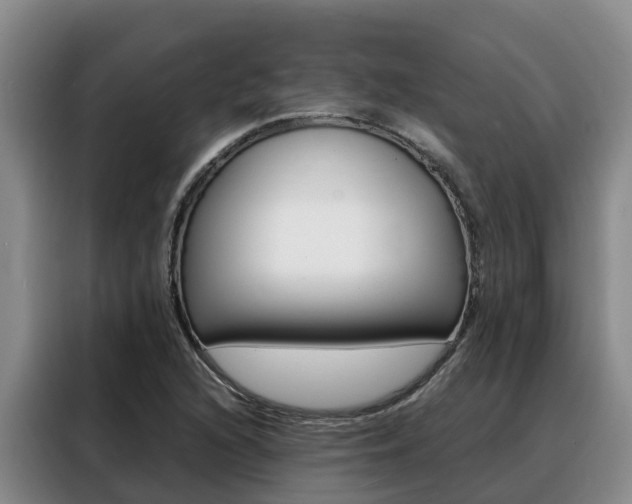 X0000088361216200705220726