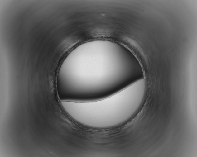 X0000088361217200705220726