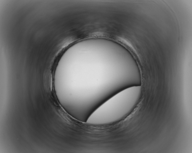 X0000088361219200705220726