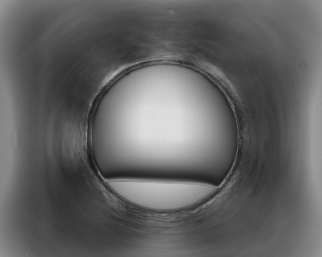 X0000088361220200705220726