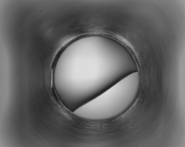 X0000088361223200705220726
