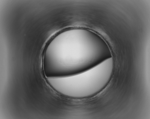 X0000088361224200705220726