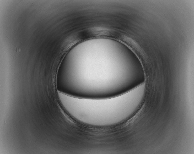 X0000088361225200705220726