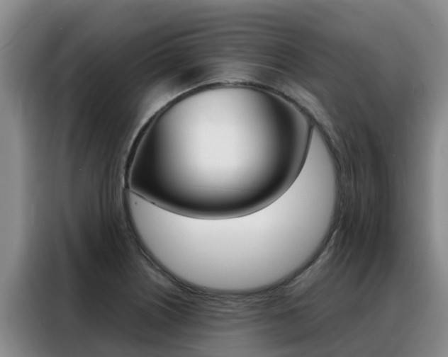 X0000088361226200705220726