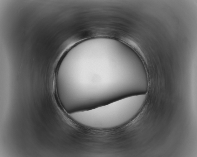 X0000088361227200705220726