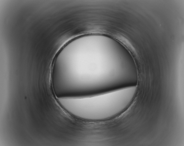 X0000088361228200705220726