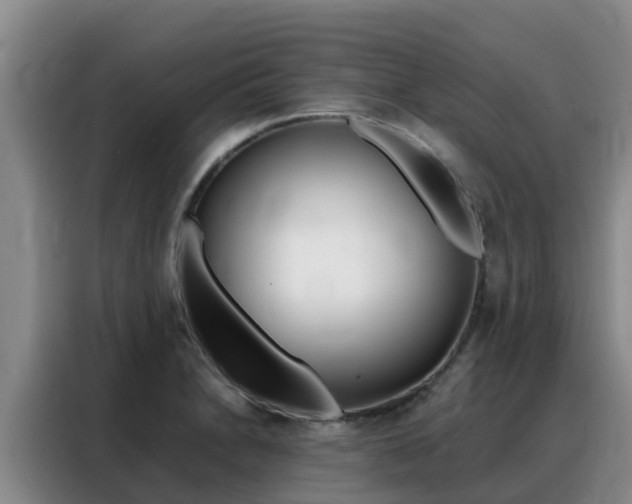 X0000088361230200705220726