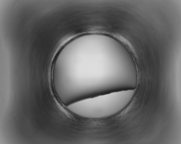 X0000088361231200705220726