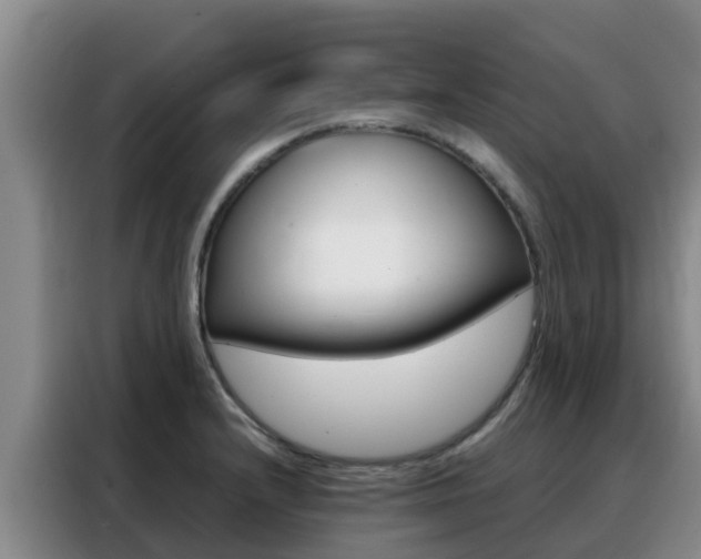 X0000088361232200705220726