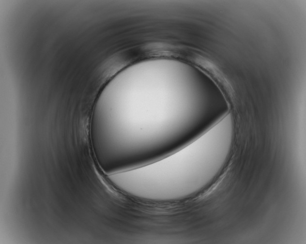 X0000088361233200705220726