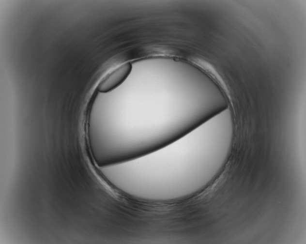 X0000088361235200705220726