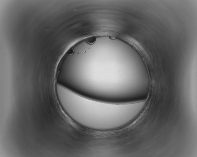 X0000088361236200705220726
