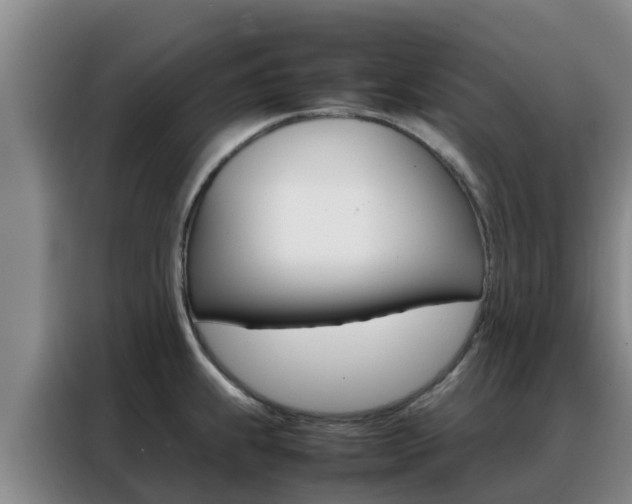 X0000088361239200705220726