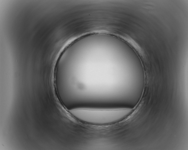 X0000088361240200705220726