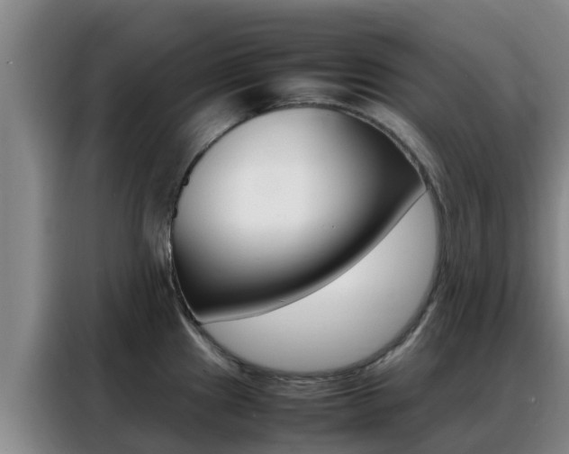 X0000088361241200705220726