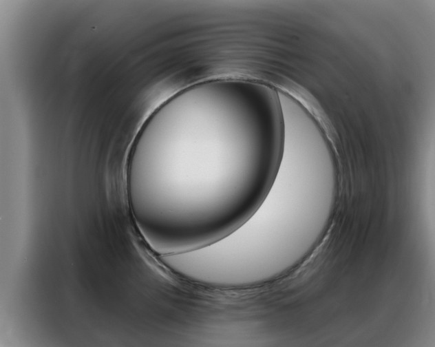 X0000088361242200705220726