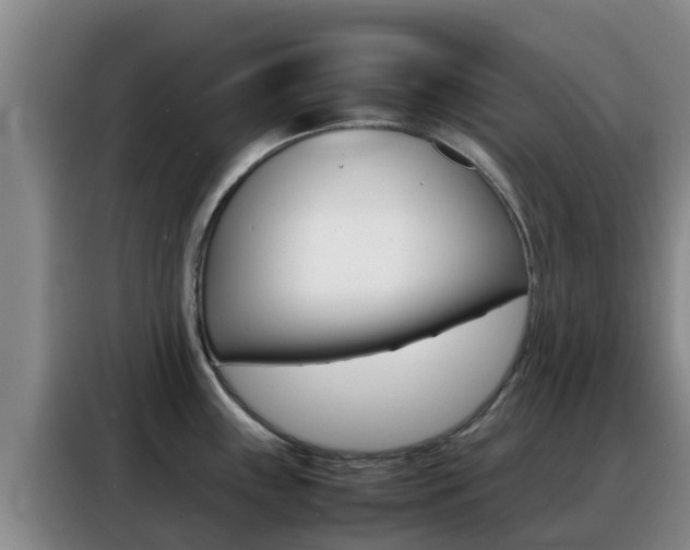 X0000088361243200705220726